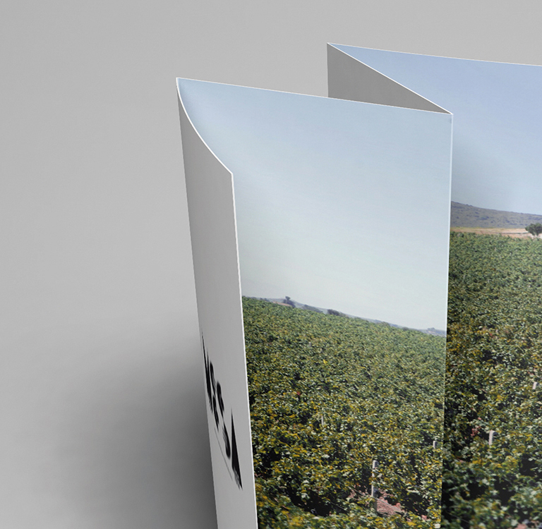 progettazione etichette vino