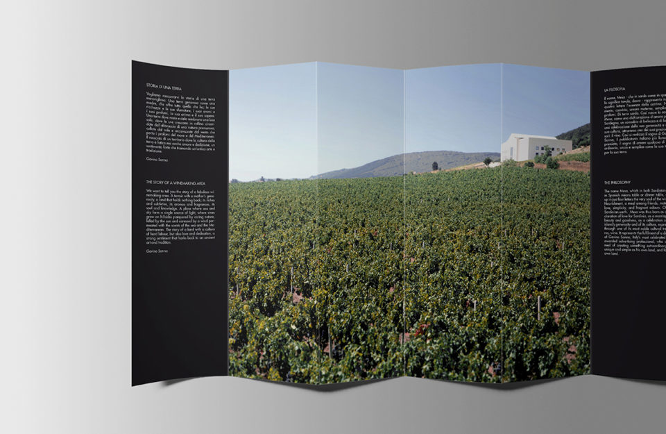 creazione etichette vino